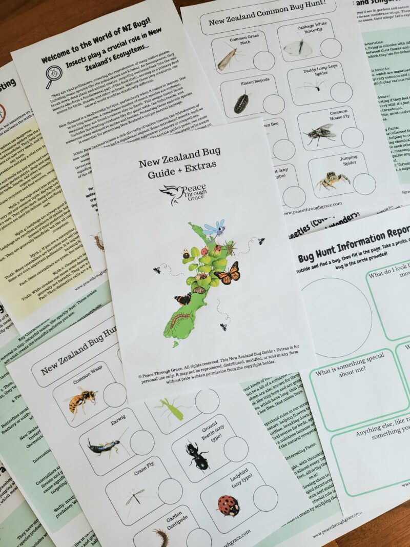 New Zealand Bug Guide Image