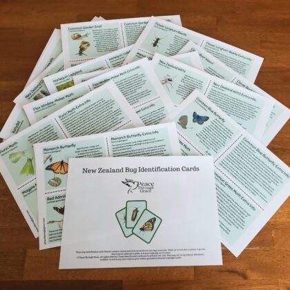 Backpack size bug identification cards