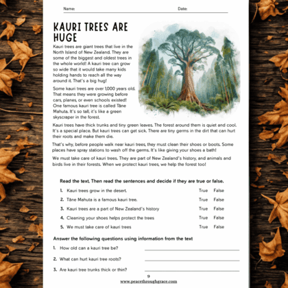 Kauri tree educational worksheet for kids – printable New Zealand nature study activity with reading passage, comprehension questions, and true/false quiz. Includes beautiful kauri tree illustration. Perfect for homeschool, unit studies, or classroom use.