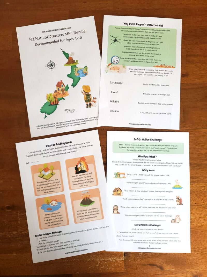 pages 1-3 including cover page for the nz natural disasters mini bundle