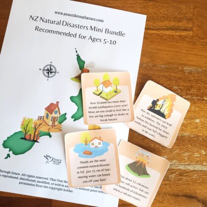 main photo for the nz natural disasters mini bundle