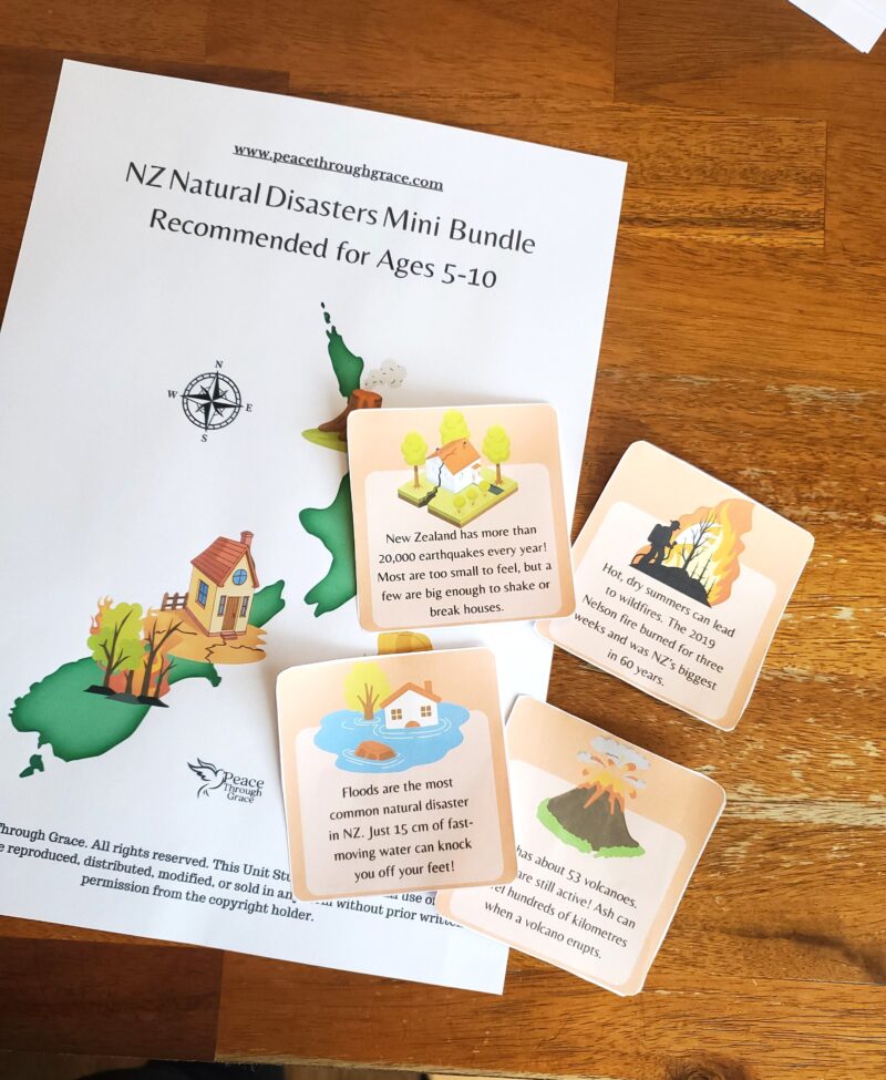 main photo for the nz natural disasters mini bundle