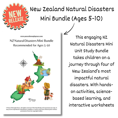 NZ Natural Disasters product slide